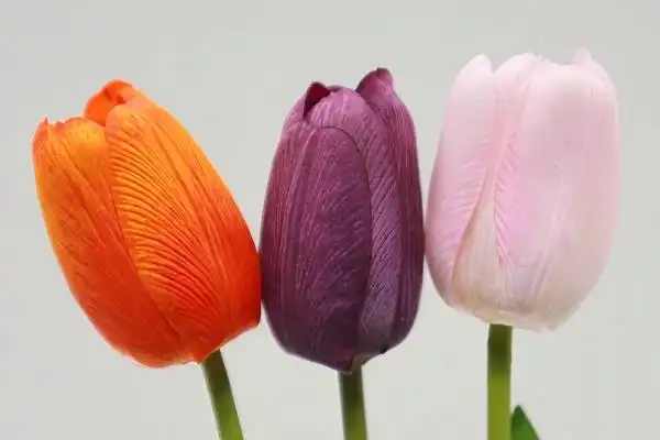 Do fake tulips look realistic?
